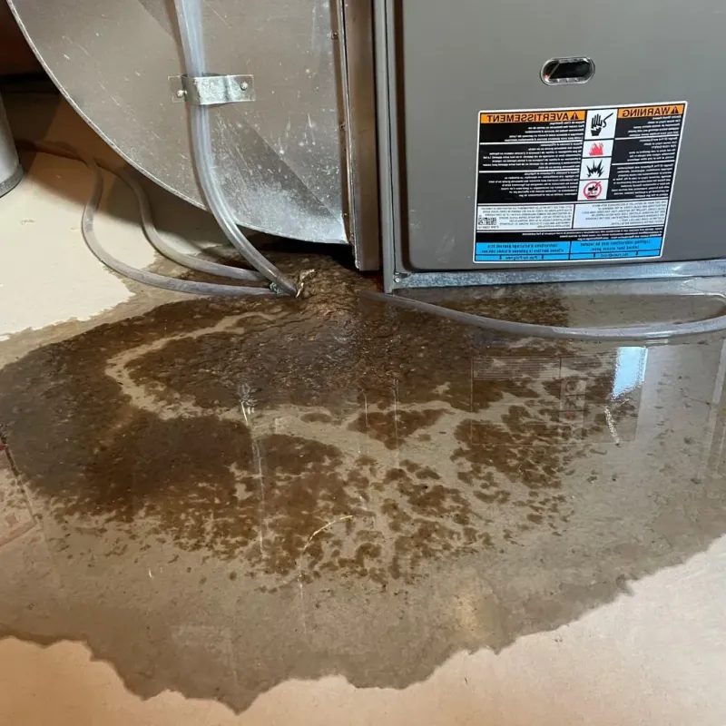 Pipe Burst and Leak Restoration in Jefferson County, WV