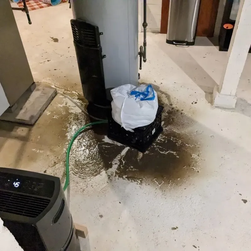 Sewage Backup Cleanup Service in Jefferson County, WV
